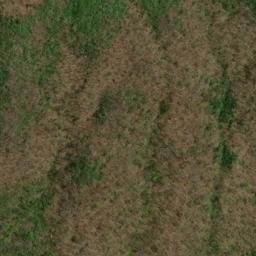 Satellite imagery of Roaring Fork Ridge, US