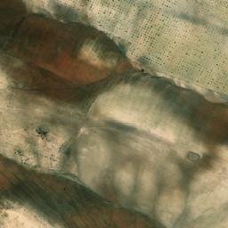 Satellite imagery of Djebel Touil, DZ