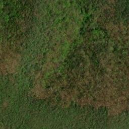 Satellite imagery of Tusquitee Mountains, US