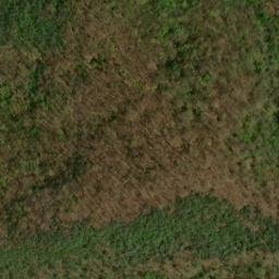 Satellite imagery of Tusquitee Mountains, US