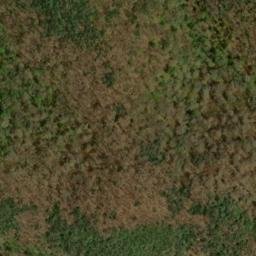 Satellite imagery of Tusquitee Mountains, US