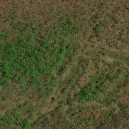 Satellite imagery of Roaring Fork Ridge, US
