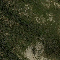 Satellite imagery of US FOREST SERVICE LOH — NGS FO0997 — Bernalillo County, US, US