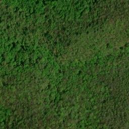 Satellite imagery of Fork Ridge, US