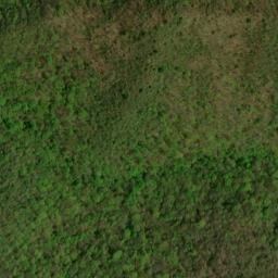 Satellite imagery of Fork Ridge, US
