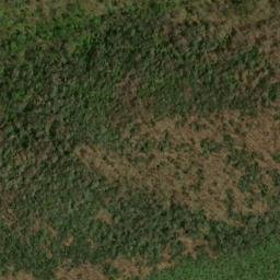 Satellite imagery of Tusquitee Mountains, US