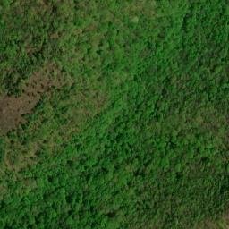 Satellite imagery of Wolf Ridge, US