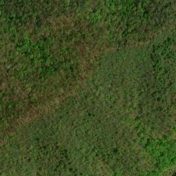 Satellite imagery of Fork Ridge, US