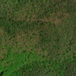 Satellite imagery of Fork Ridge, US