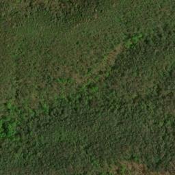 Satellite imagery of Fork Ridge, US