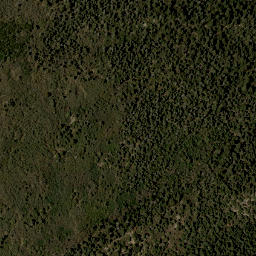 Satellite imagery of DEER — NGS FO1005 — Bernalillo County, US, US