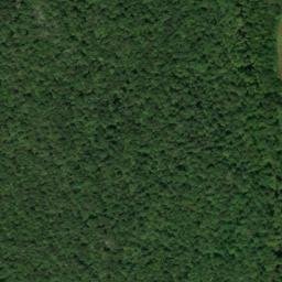 Satellite imagery of Cedar Ridge, US