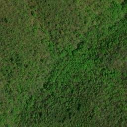 Satellite imagery of Fork Ridge, US