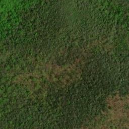 Satellite imagery of Fork Ridge, US