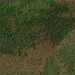 Satellite imagery of Fork Ridge, US