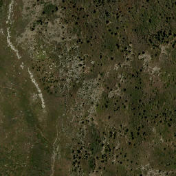 Satellite imagery of DEER — NGS FO1005 — Bernalillo County, US, US