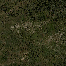 Satellite imagery of DEER — NGS FO1005 — Bernalillo County, US, US
