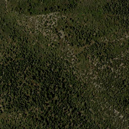 Satellite imagery of DEER — NGS FO1005 — Bernalillo County, US, US