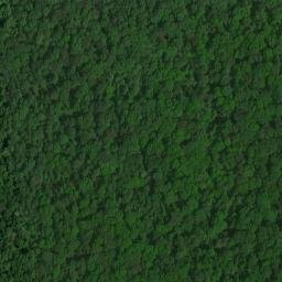 Satellite imagery of Inman Point, US