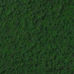 Satellite imagery of Inman Point, US