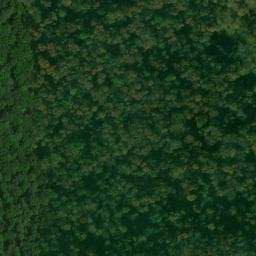 Satellite imagery of Inman Point, US