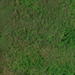 Satellite imagery of Gold Mine Ridge, US