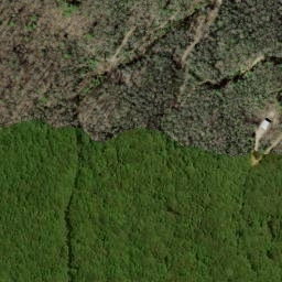 Satellite imagery of Fork Ridge, US