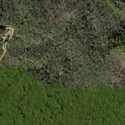 Satellite imagery of Fork Ridge, US