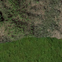 Satellite imagery of Fork Ridge, US