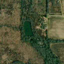 Satellite imagery of LOCO — NGS FF1455 — White County, US, US