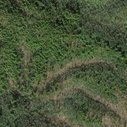 Satellite imagery of Tibb Ridge, US
