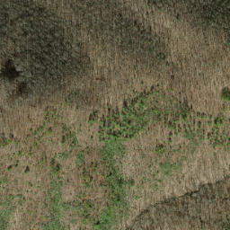 Satellite imagery of Tibb Ridge, US