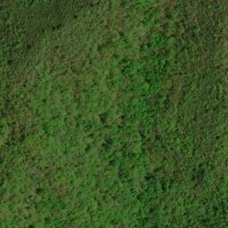 Satellite imagery of Gold Mine Ridge, US