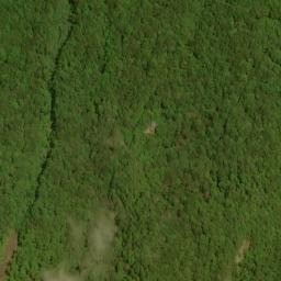 Satellite imagery of Fork Ridge, US