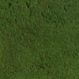 Satellite imagery of Fork Ridge, US