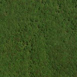 Satellite imagery of Fork Ridge, US