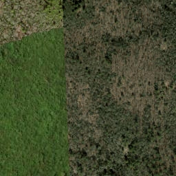 Satellite imagery of Western Cliffs, US