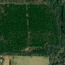 Satellite imagery of LOCO — NGS FF1455 — White County, US, US