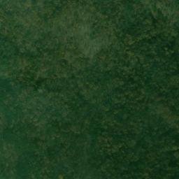 Satellite imagery of Long Point, US