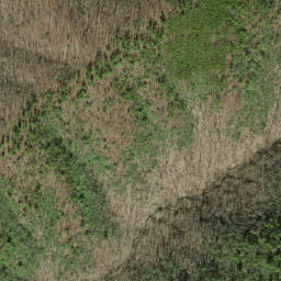 Satellite imagery of Tibb Ridge, US