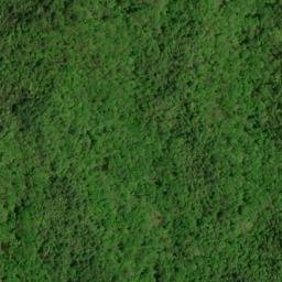 Satellite imagery of Evans Ridge, US