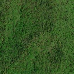 Satellite imagery of Evans Ridge, US