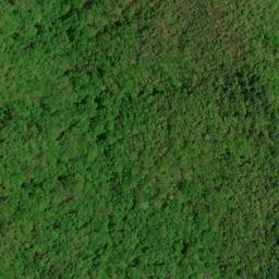 Satellite imagery of Evans Ridge, US
