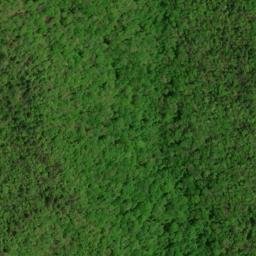 Satellite imagery of Gold Mine Ridge, US