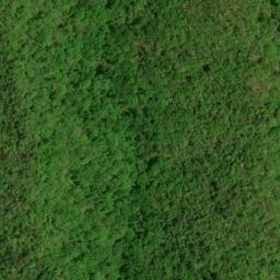 Satellite imagery of Gold Mine Ridge, US