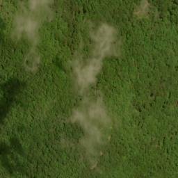 Satellite imagery of Fork Ridge, US