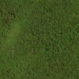 Satellite imagery of Fork Ridge, US