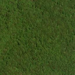 Satellite imagery of Fork Ridge, US