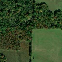 Satellite imagery of WNV — NGS FG0290 — White County, US, US