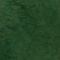 Satellite imagery of Long Point, US